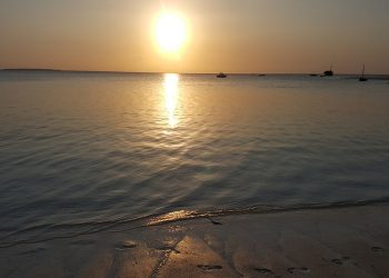 Les activités à faire à Zanzibar pour des vacances en Tanzanie