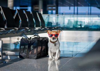 aéroport de marseille