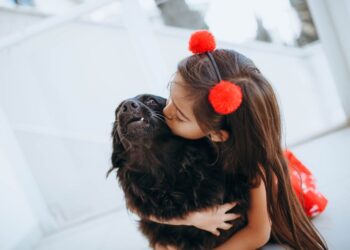 Stress chez les animaux