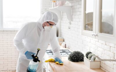 Technicien en combinaison de protection traitant une cuisine contre les cafards et autres nuisibles
