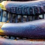 congeler aubergines crues