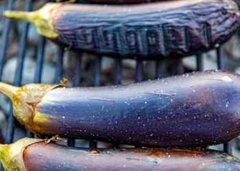 congeler aubergines crues