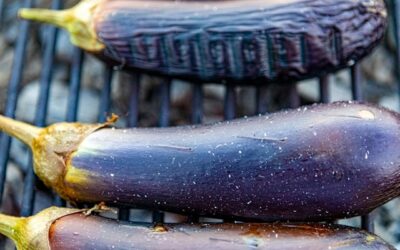 congeler aubergines crues