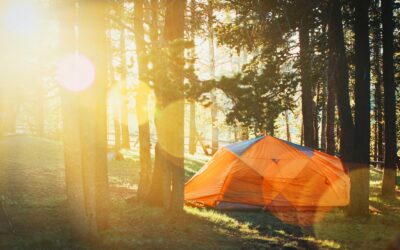 Tente orange dans une forêt ensoleillée, parfaite pour une aventure de camping d'été.