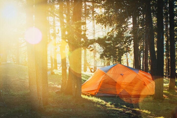 Tente orange dans une forêt ensoleillée, parfaite pour une aventure de camping d'été.