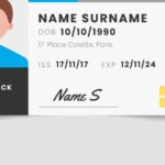 carte grise express