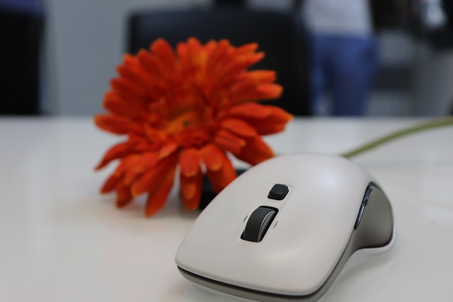 Souris ergonomique vs souris classique