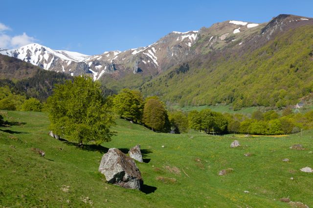 découverte